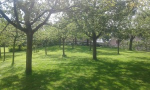 tuin abdij