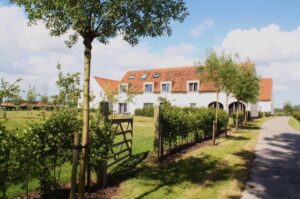 Woestyne (11)